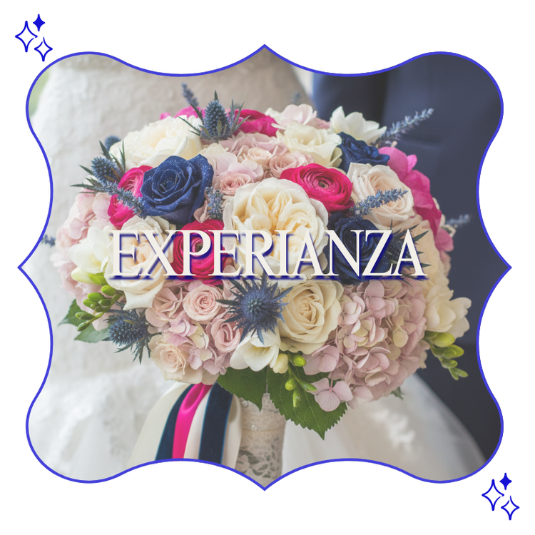 Experianza – Experiences
